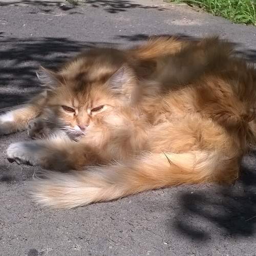 Photo #6069419