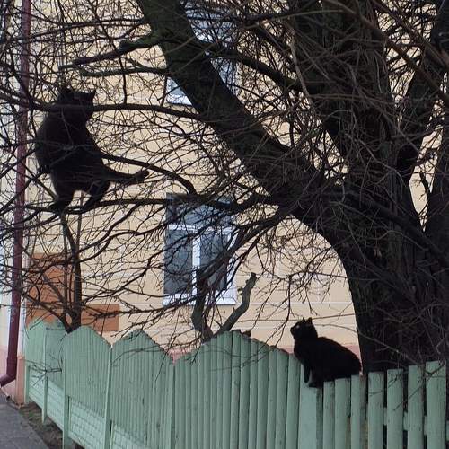 Photo #6069424