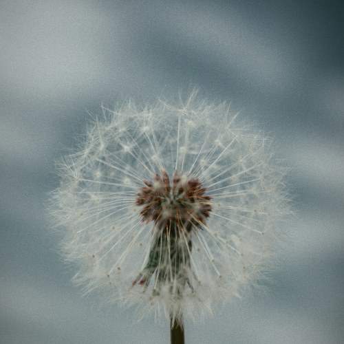 Photo #6069468