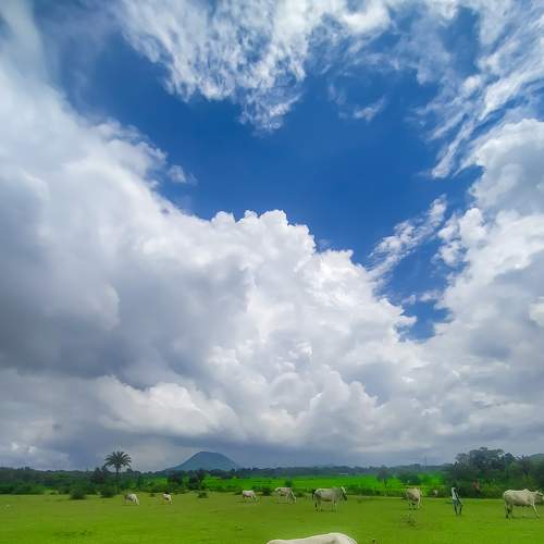 Photo #6069533