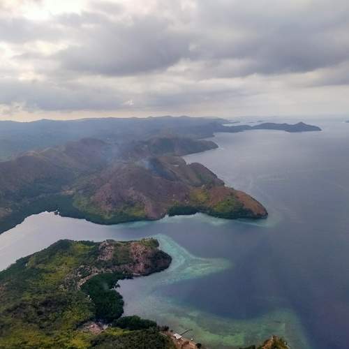 Photo #6069545