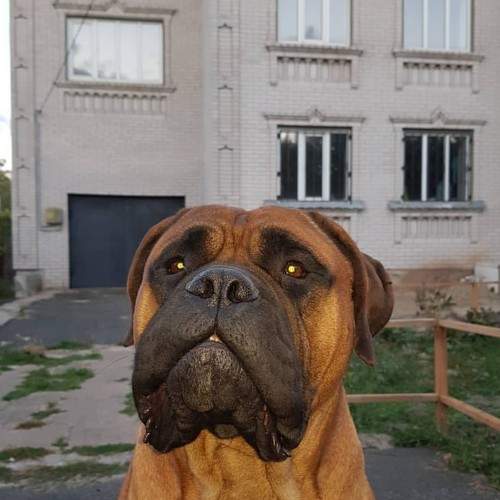 Photo #6069667