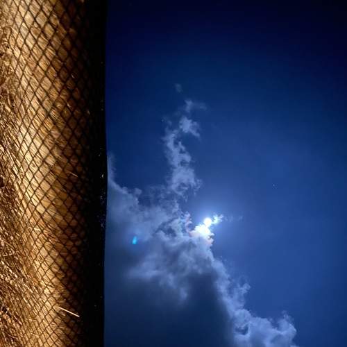 Look Up!