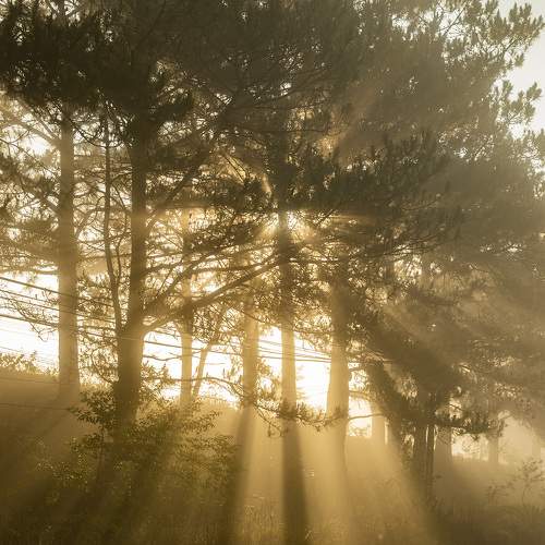 Photo #6069885