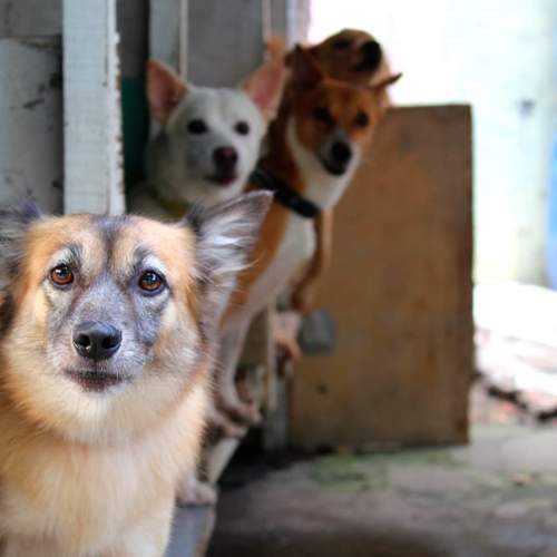 Photo #6069899