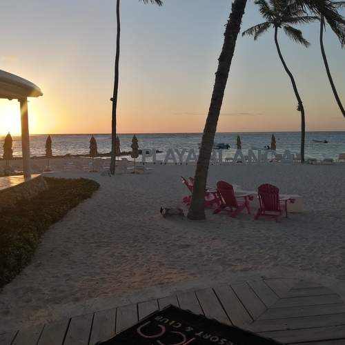 Photo #6069919