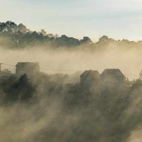 Photo #6069935
