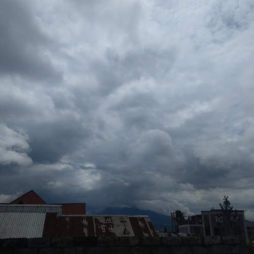 Photo #6069938