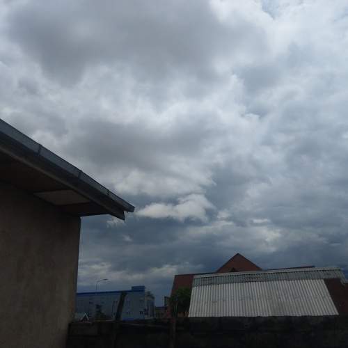 Photo #6069945