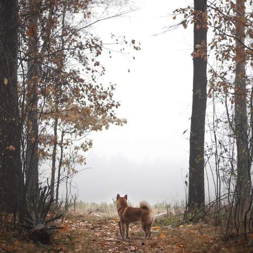 Photo #6070210