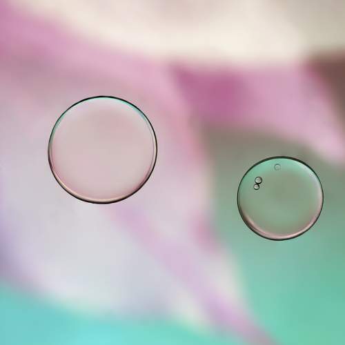 Photo #6070257