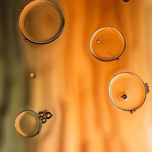 Photo #6070297
