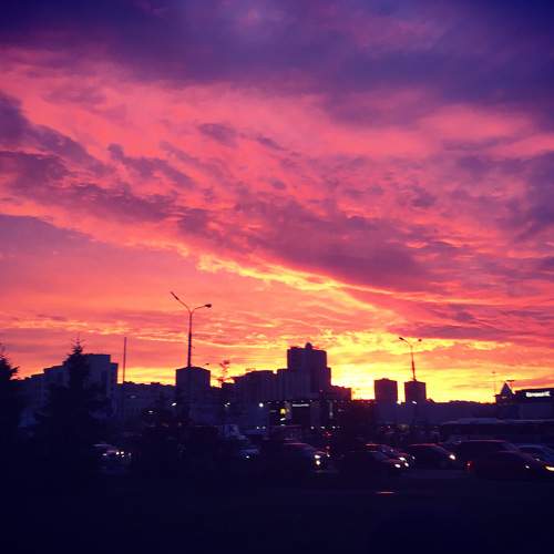 Photo #6070345
