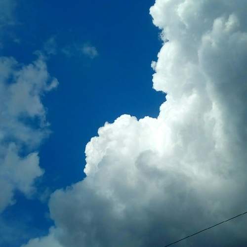 Photo #6070446