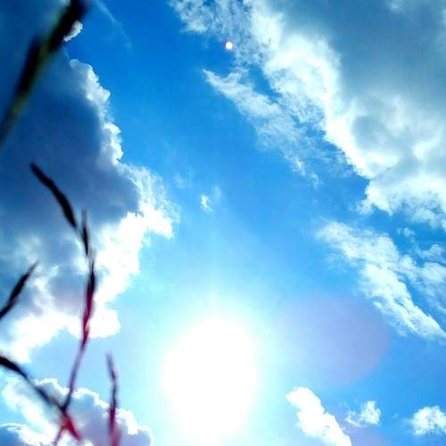 Photo #6070452