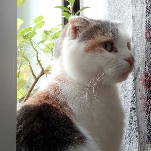 Photo #6070454