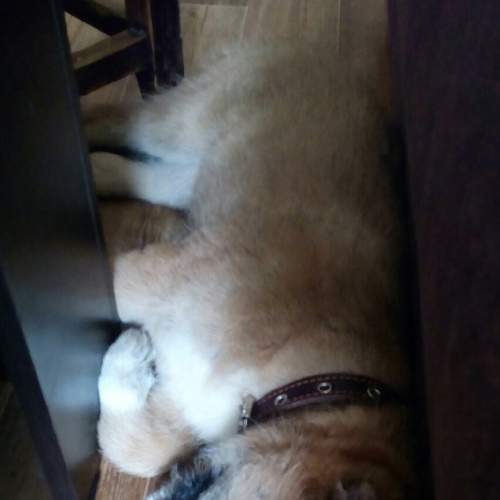 Photo #6070457