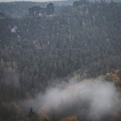 Photo #6070511