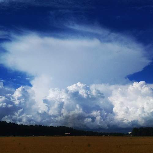 Photo #6070564