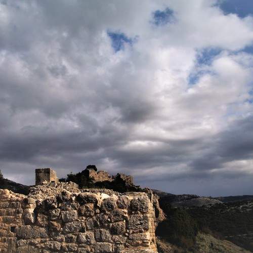 Photo #6070658