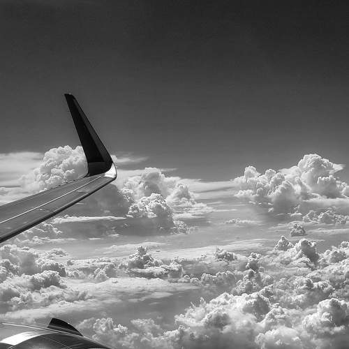 Photo #6070810