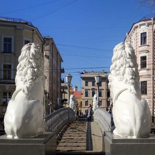 Photo #6070822