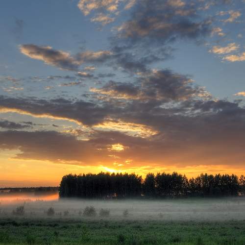 Photo #6070837