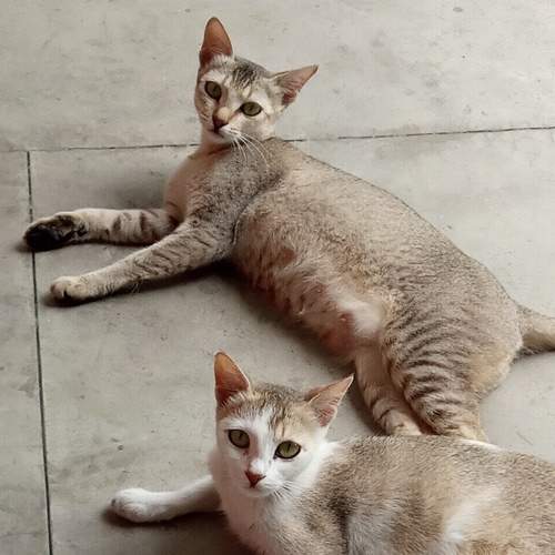 Photo #6070906
