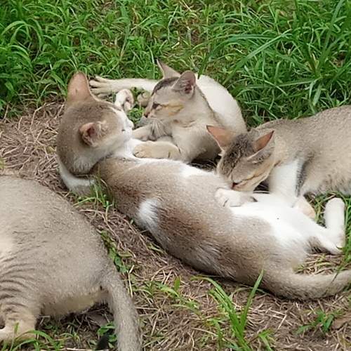 Photo #6070913