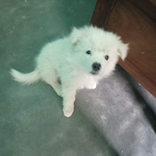 Photo #6070918