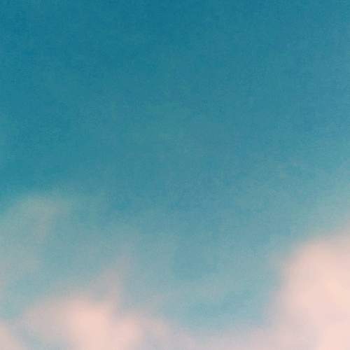 Photo #6070925