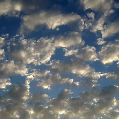 Photo #6071248