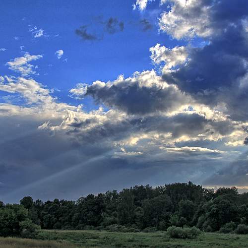 Photo #6071708