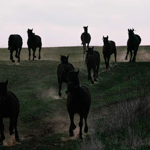 Photo #6071711