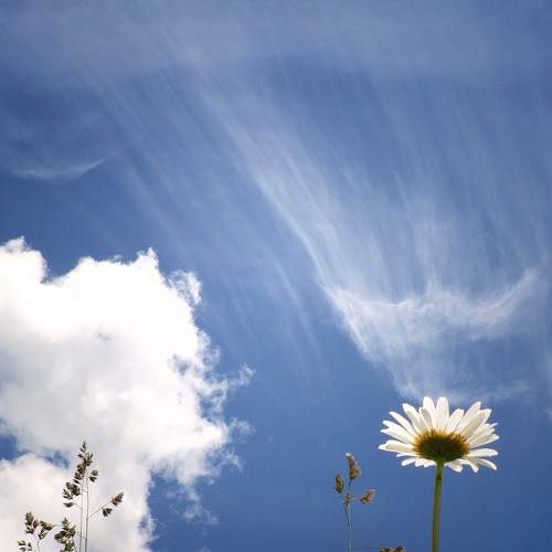 Photo #6071794