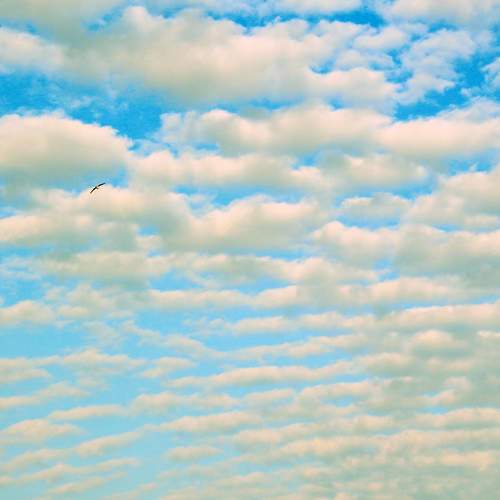 Photo #6071817