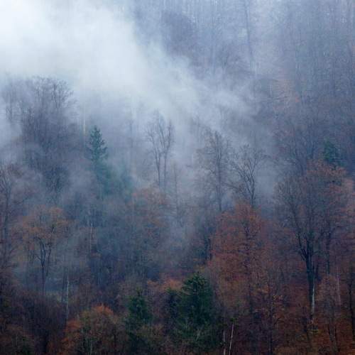 Photo #6071897
