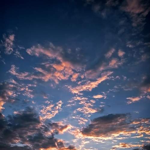 Photo #6071910