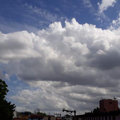 Photo #6072246