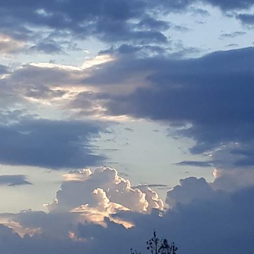 Photo #6072264
