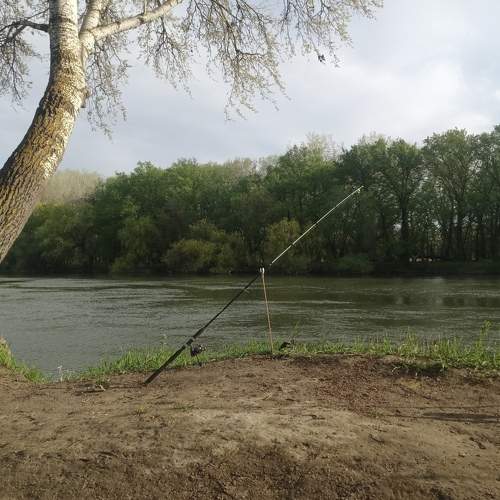 Photo #6072279