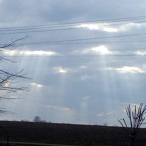 Photo #6072320