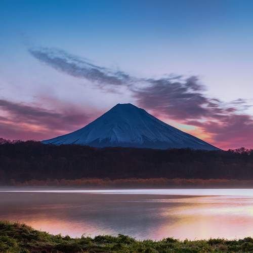 Photo #6072380