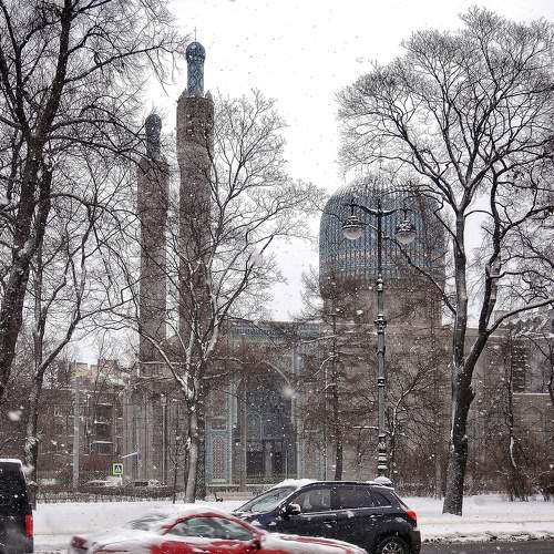 Photo #6072651