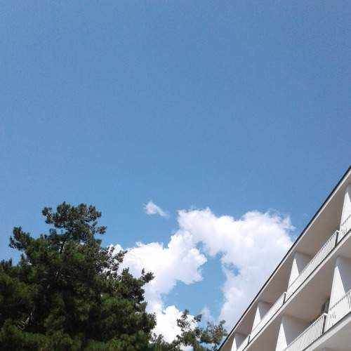 Photo #6072677
