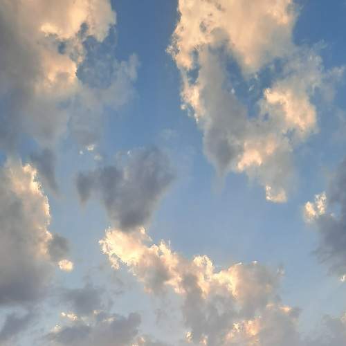 Photo #6073083