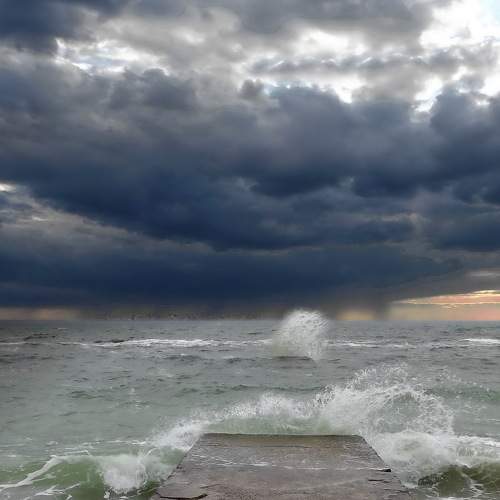 Photo #6073109
