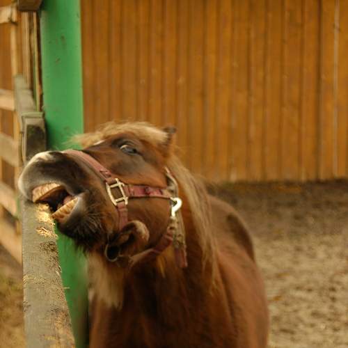 Photo #6073238