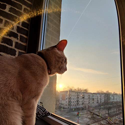 Photo #6073249