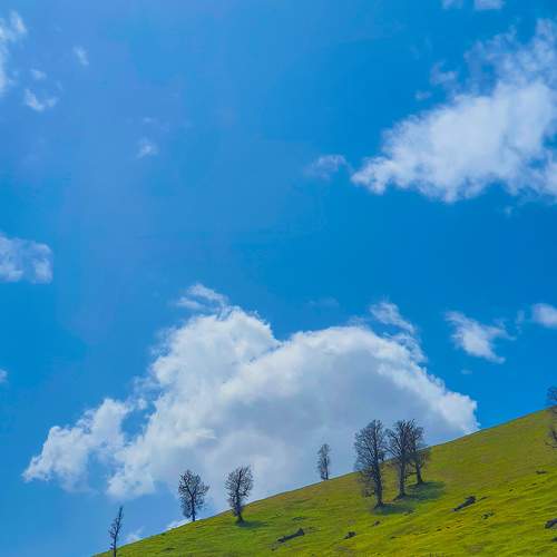 Photo #6073406